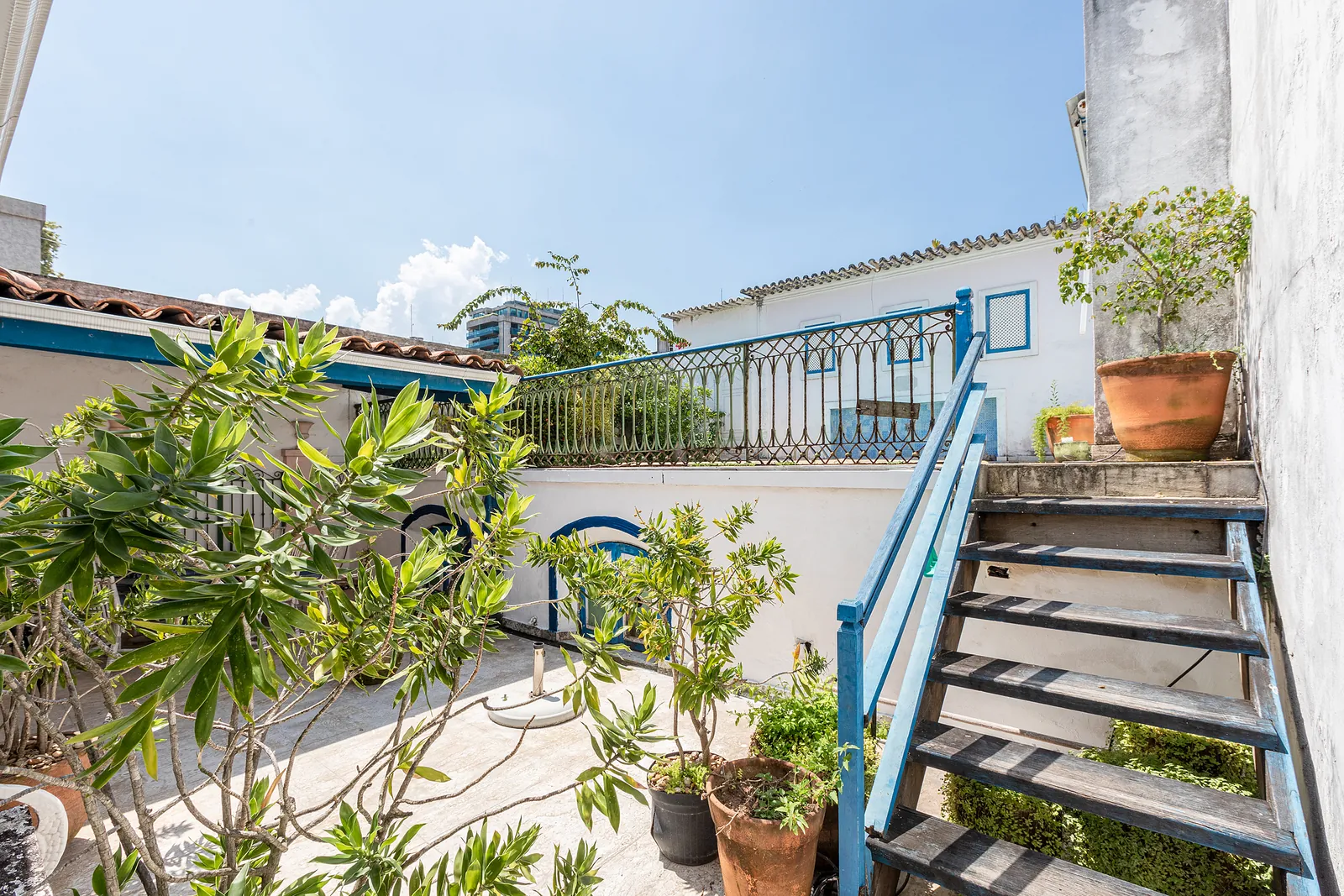 A rooftop terrace with steps and potted plants
